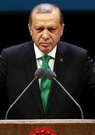 Turquie: Erdogan s'attaque violemment à l'Allemagne