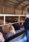 Cantal : les éleveurs peuvent à nouveau exporter leurs bovins en Turquie