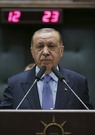 Turquie: 12 personnes accusées d'avoir insulté Erdogan ont été arrêtées