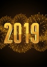 Bonne année 2019 / Mutlu seneler...