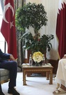 La Turquie et le Qatar font front commun face aux pays arabes