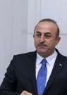 Cavusoglu: la Turquie a capturé le terroriste de Daech qui a donné la position d'al-Baghdadi