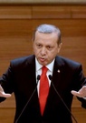 Turquie : Erdogan menace les intellectuels de rétorsion