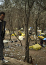 Coronavirus : les réfugiés massés à la frontière entre la Turquie et la Grèce évacués en pleine pandémie