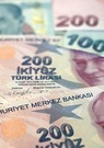 Turquie : l’inflation a atteint un niveau record en 2021