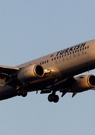 Turkish Airlines s'est imposée entre Orient et Occident