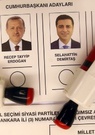 Deux observateurs internationaux interdits de visite en Turquie à quelques jours des élections