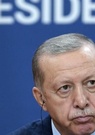 Des vidéos diffusées sur TikTok autour de l'épargne des Turcs provoquent la colère d’Erdogan