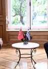 Opération réconciliation entre la Grèce et la Turquie à l'occasion d'une visite d'Erdogan