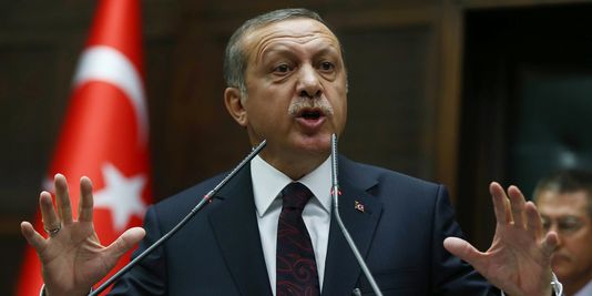 Critiqué après des arrestations de journalistes, le président turc répond à l'UE